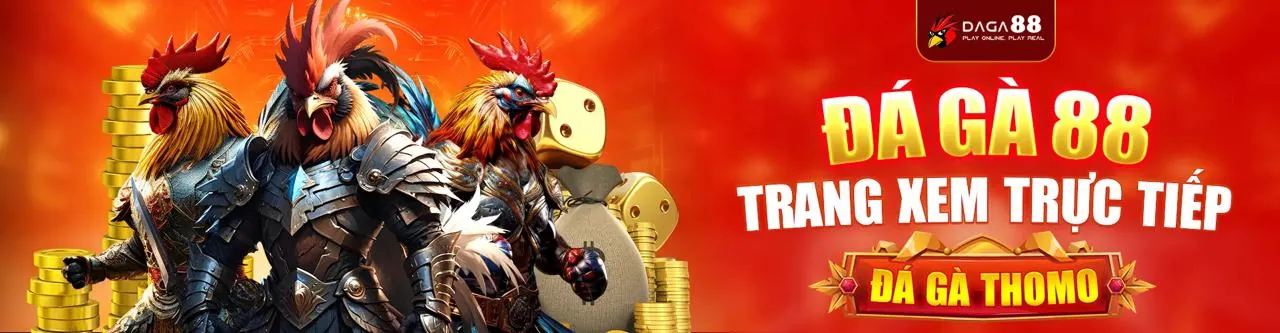 Đá gà trực tuyến kịch tính trên k9bet app