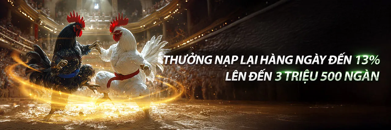 Tham gia chương trình đối tác K9BET App