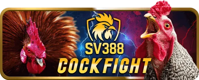 Ưu đãi nạp tiền K9BET APP hàng ngày